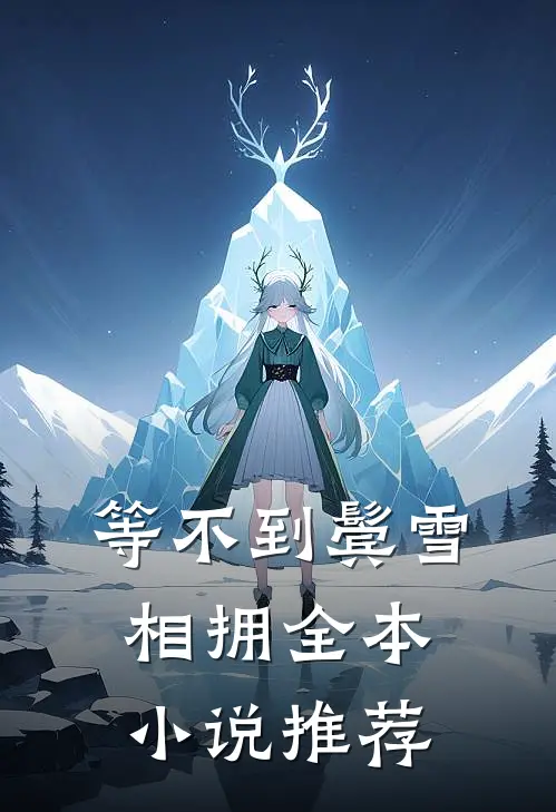 等不到鬓雪相拥全本小说推荐