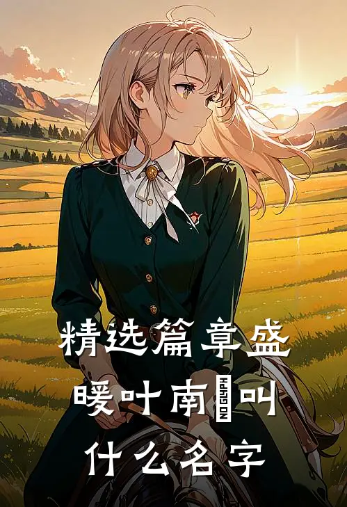 精选篇章盛暖叶南烆叫什么名字