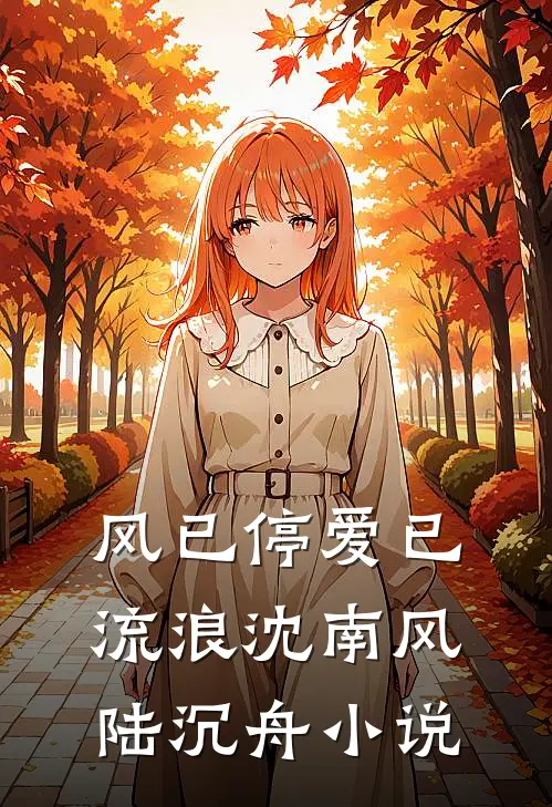 风已停爱已流浪沈南风陆沉舟小说
