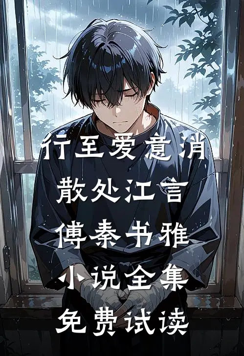 行至爱意消散处江言傅秦书雅小说全集免费试读