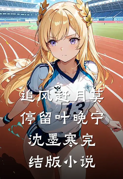 追风赶月莫停留叶晚宁沈墨寒完结版小说