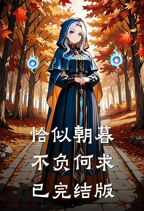 恰似朝暮不负何求已完结版