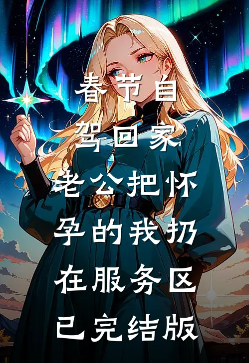 春节自驾回家，老公把怀孕的我扔在服务区已完结版