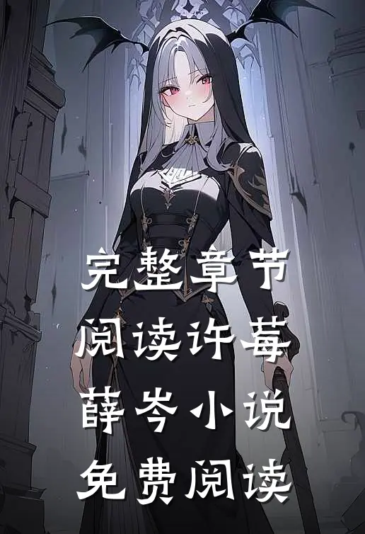 完整章节阅读许莓薛岑小说免费阅读