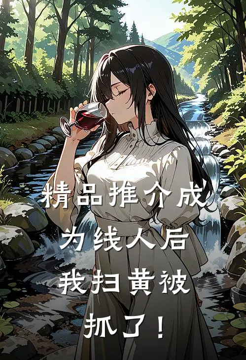 精品推介成为线人后，我扫黄被抓了！