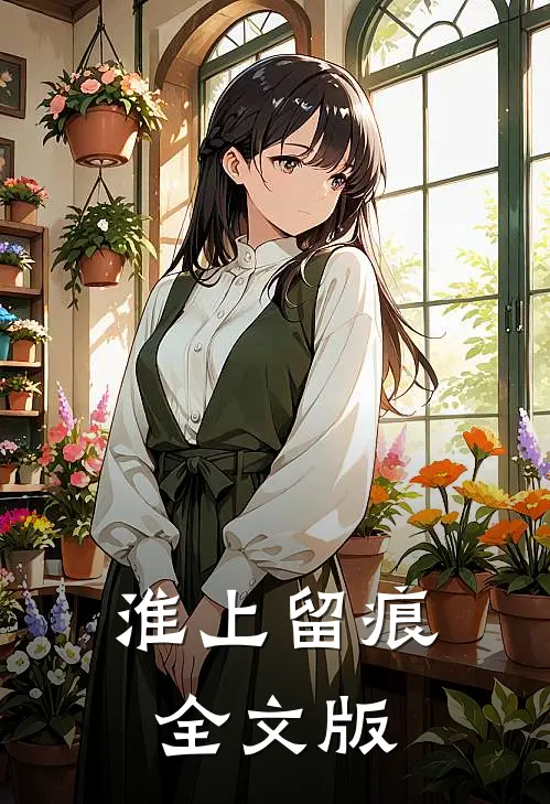 淮上留痕全文版