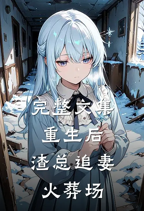 完整文集重生后，渣总追妻火葬场