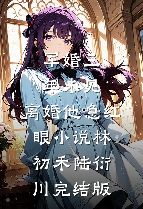军婚三年未见，离婚他急红眼小说林初禾陆衍川完结版