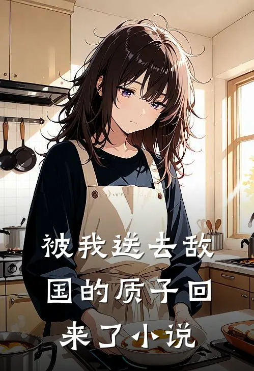 被我送去敌国的质子回来了小说