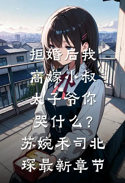 拒婚后我高嫁小叔，太子爷你哭什么？苏婉禾司北琛最新章节