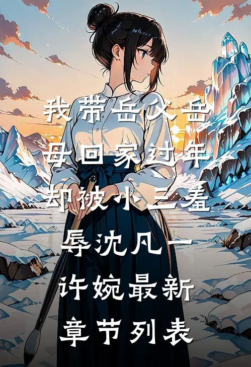 我带岳父岳母回家过年，却被小三羞辱沈凡一许婉最新章节列表