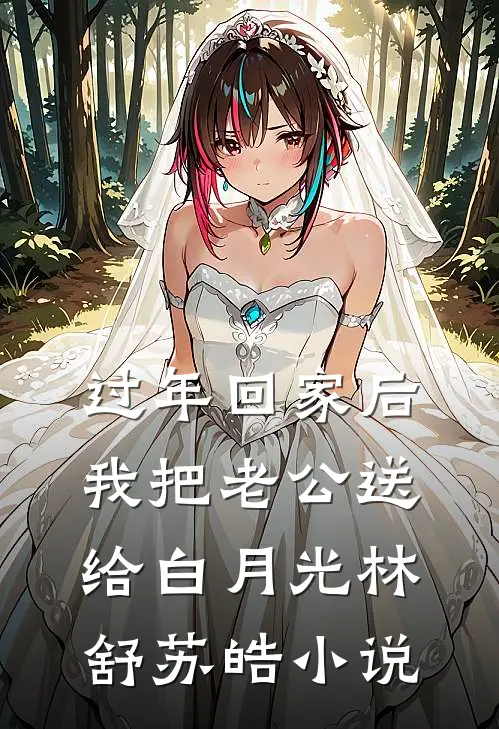 过年回家后，我把老公送给白月光林舒苏皓小说