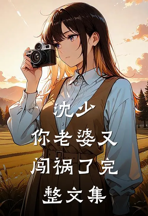 沈少，你老婆又闯祸了完整文集
