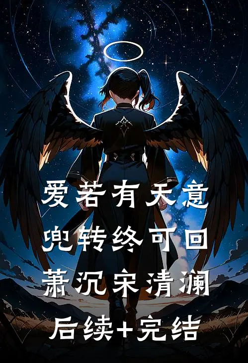 爱若有天意，兜转终可回萧沉宋清澜后续+完结