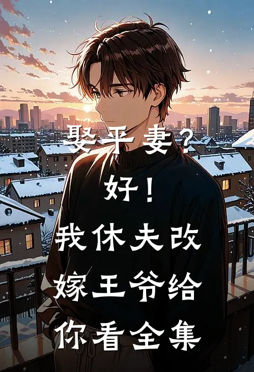 娶平妻？好！我休夫改嫁王爷给你看全集