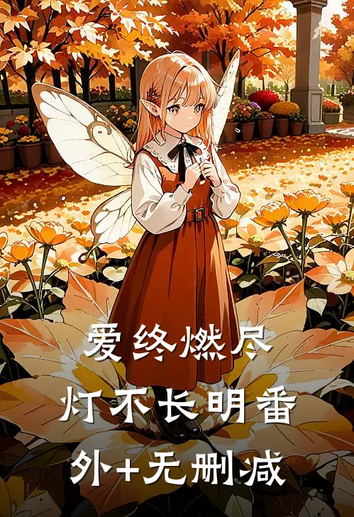 爱终燃尽，灯不长明番外+无删减