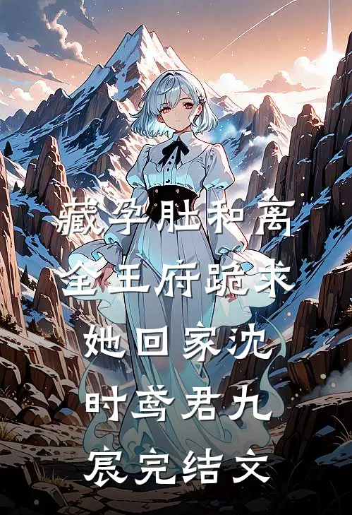 藏孕肚和离，全王府跪求她回家沈时鸢君九宸完结文