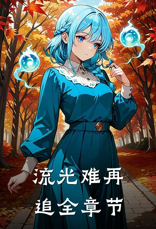 流光难再追全章节