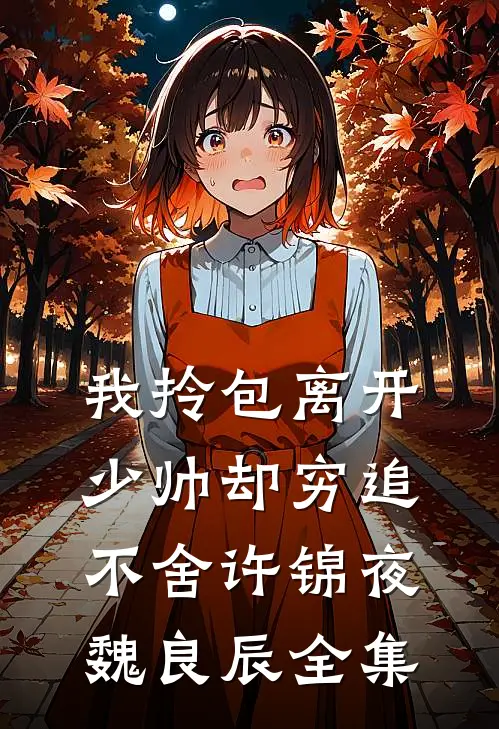 我拎包离开，少帅却穷追不舍许锦夜魏良辰全集