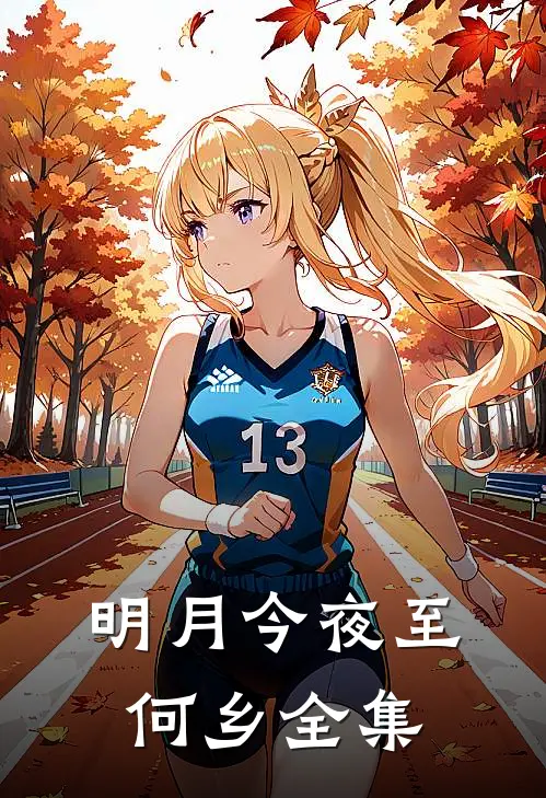 明月今夜至何乡全集