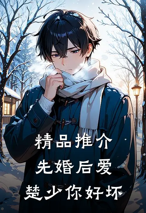 精品推介先婚后爱，楚少你好坏