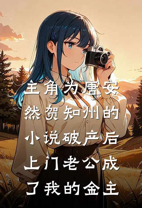 主角为唐安然贺知州的小说破产后，上门老公成了我的金主