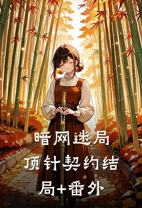 暗网迷局：顶针契约结局+番外
