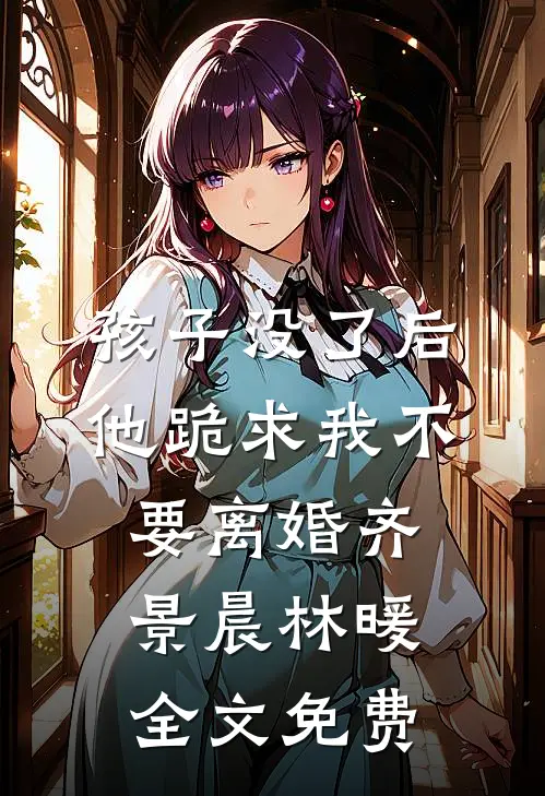 孩子没了后他跪求我不要离婚齐景晨林暖全文免费