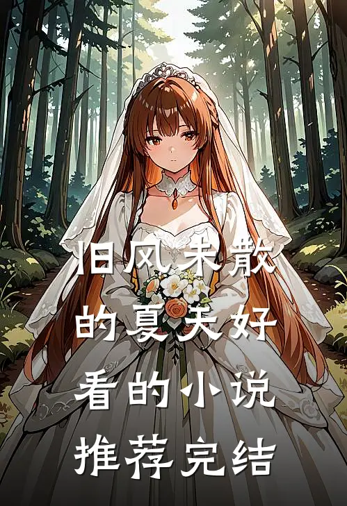 旧风未散的夏天好看的小说推荐完结
