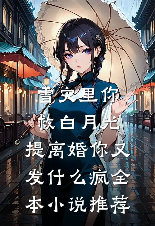 雪灾里你救白月光，提离婚你又发什么疯全本小说推荐