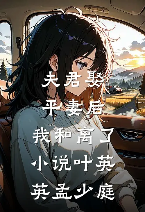 夫君娶平妻后，我和离了小说叶英英孟少庭