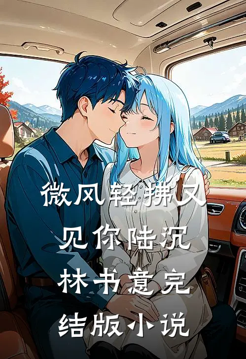微风轻拂又见你陆沉林书意完结版小说