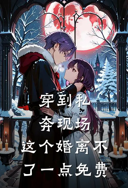 穿到私奔现场，这个婚离不了一点免费