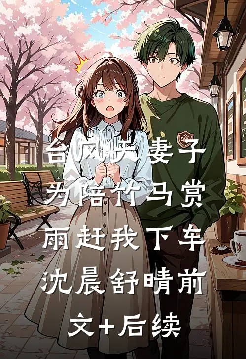 台风天妻子为陪竹马赏雨赶我下车沈晨舒晴前文+后续