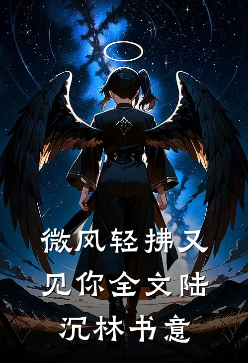 微风轻拂又见你全文陆沉林书意