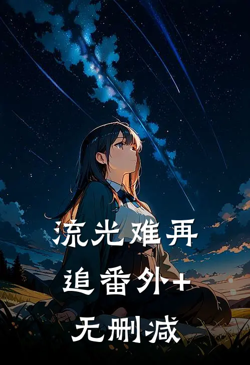 流光难再追番外+无删减