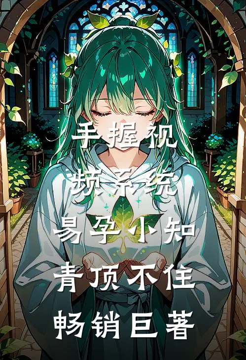 手握视频系统，易孕小知青顶不住畅销巨著