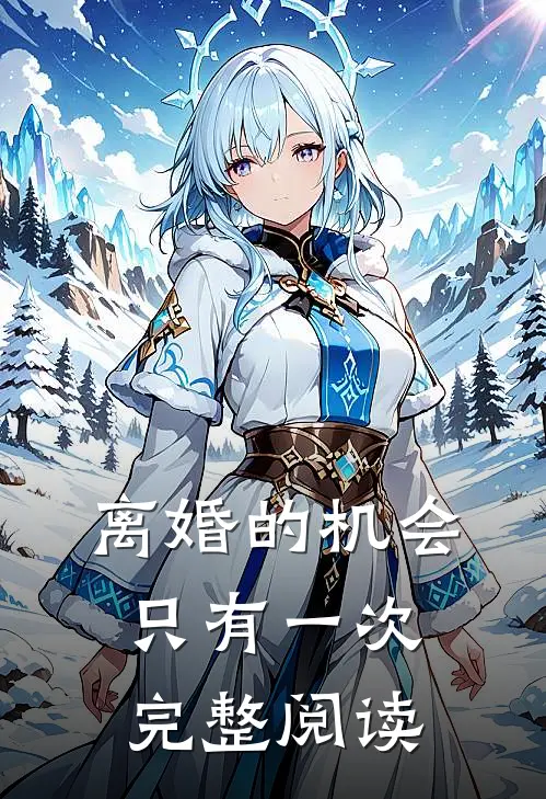 离婚的机会只有一次完整阅读