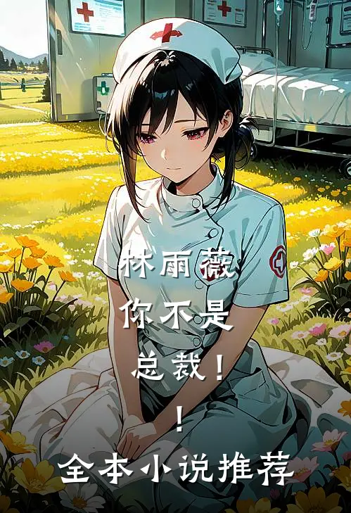 林雨薇，你不是总裁！！全本小说推荐