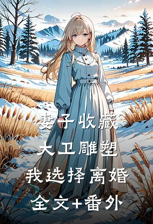 妻子收藏大卫雕塑，我选择离婚全文+番外