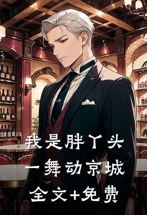 我是胖丫头，一舞动京城全文+免费