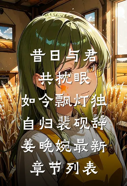 昔日与君共枕眠，如今飘灯独自归裴砚辞姜晚婉最新章节列表