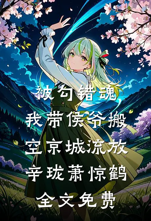 被勾错魂，我带侯爷搬空京城流放辛珑萧惊鹤全文免费
