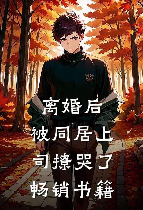 离婚后，被同居上司撩哭了畅销书籍