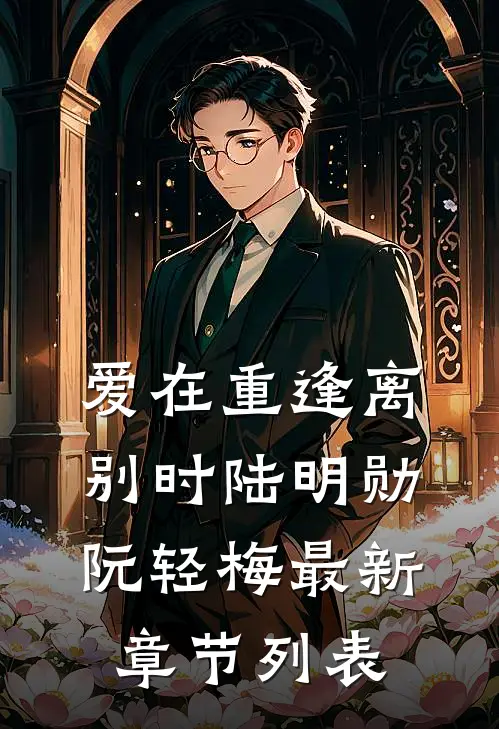 爱在重逢离别时陆明勋阮轻梅最新章节列表