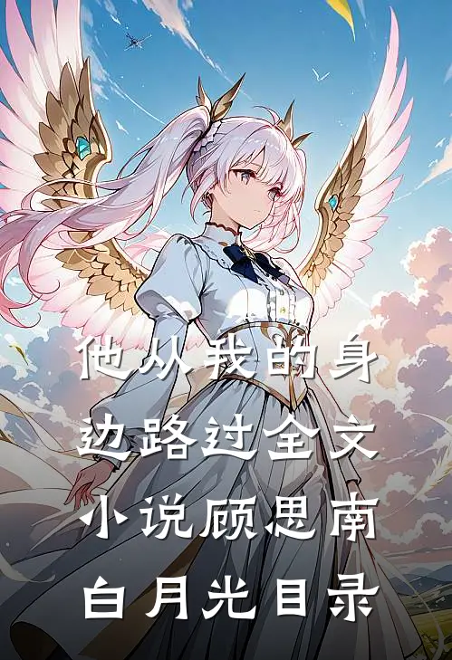 他从我的身边路过全文小说顾思南白月光目录