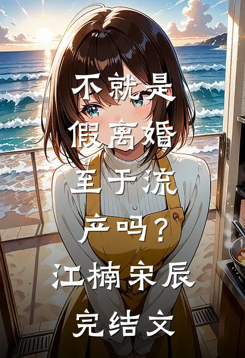 不就是假离婚，至于流产吗？江楠宋辰完结文