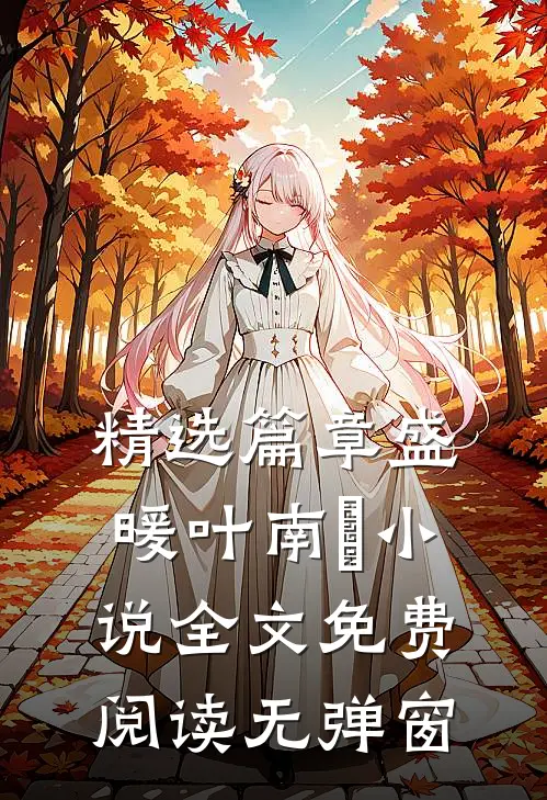 精选篇章盛暖叶南烆小说全文免费阅读无弹窗