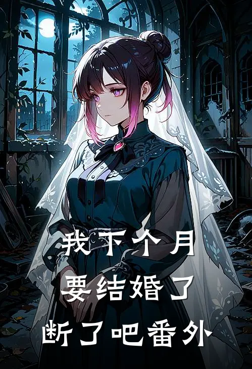 我下个月要结婚了，断了吧番外