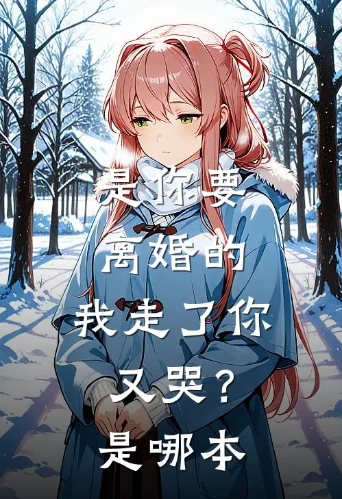 是你要离婚的，我走了你又哭？是哪本